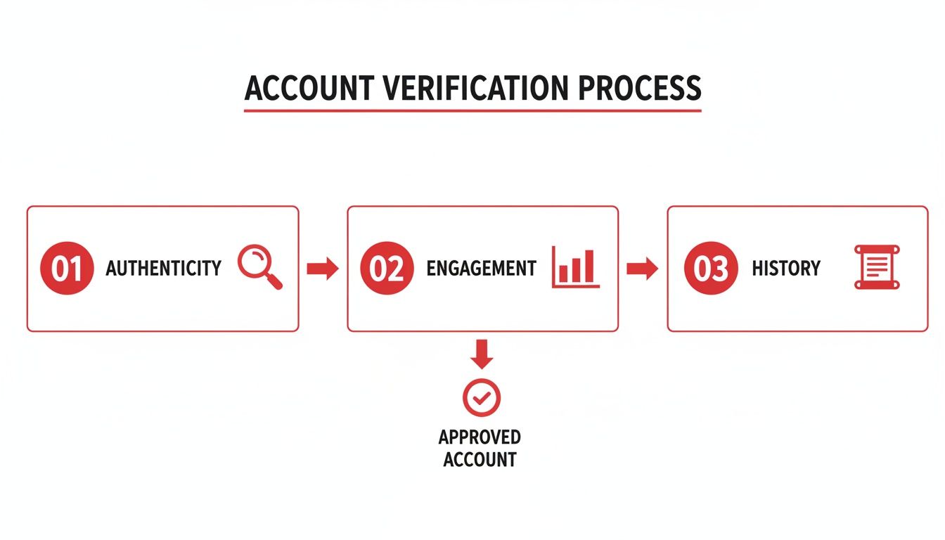 Diagram illustrating the account verification process with steps for authenticity, engagement, and history.