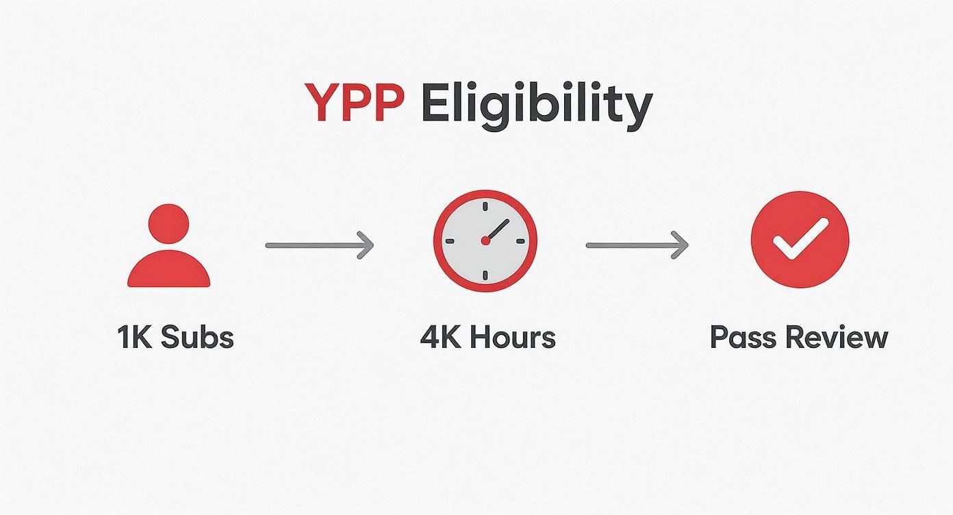 Infographic about what is youtube partner program