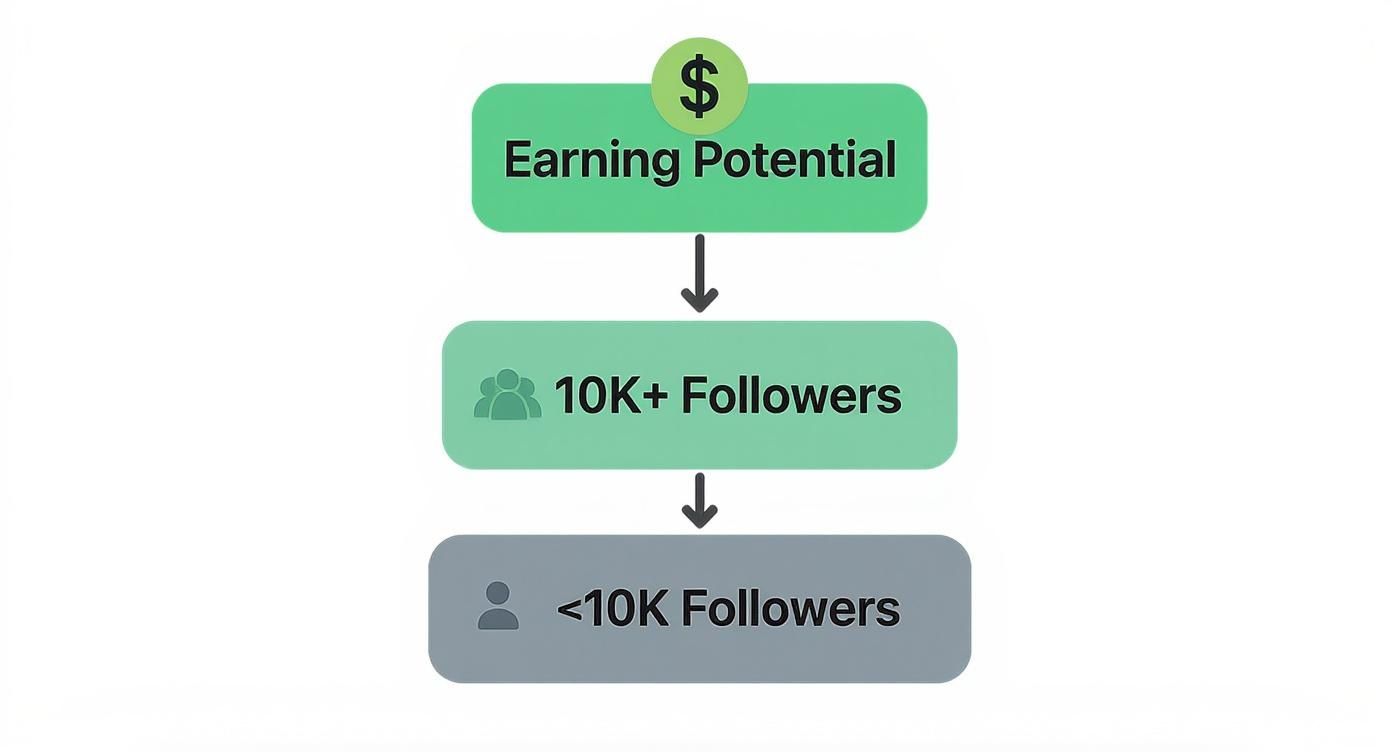 A flowchart showing earning potential linked to social media follower counts, specifically 10K+ and less than 10K followers.