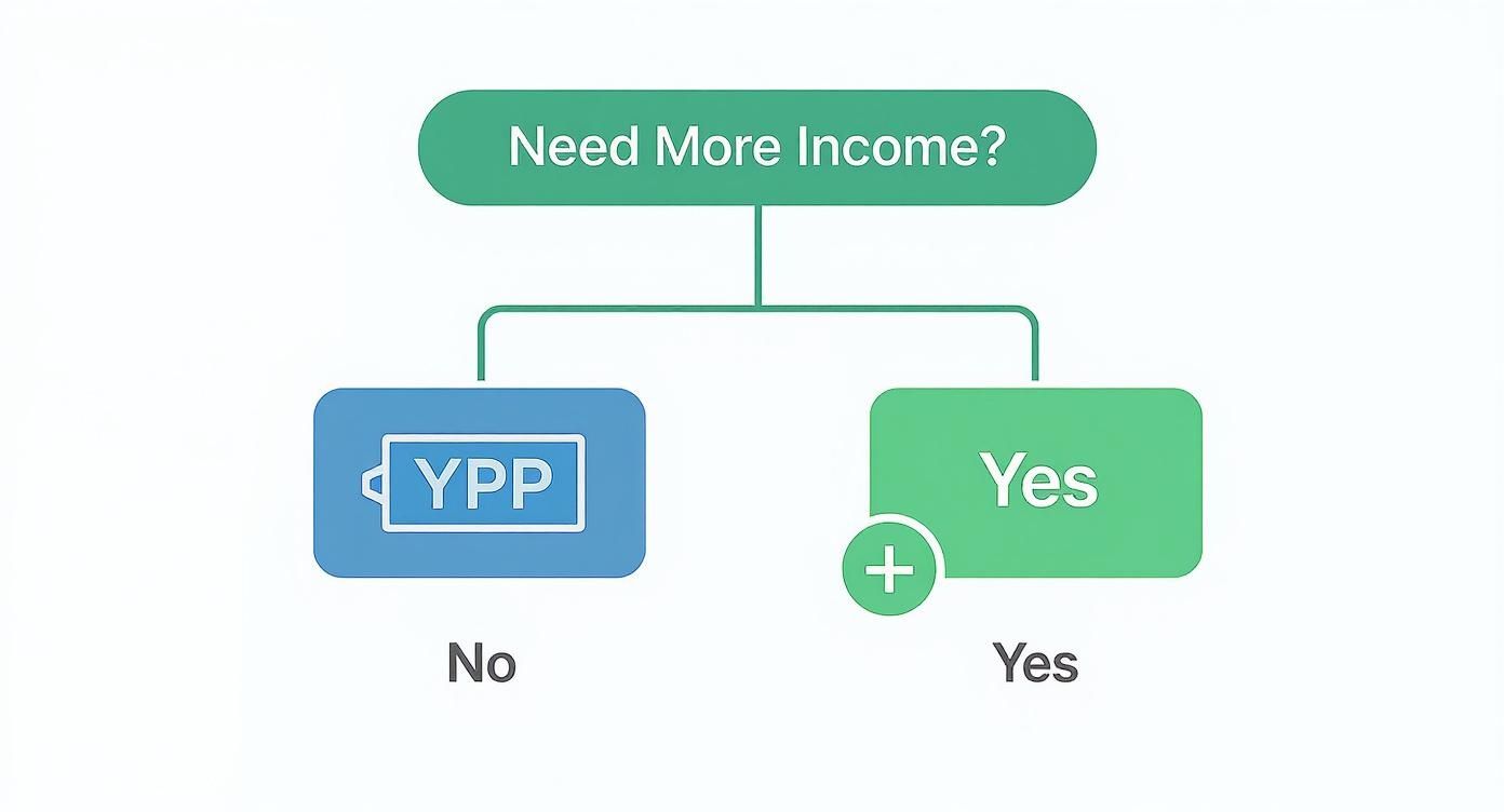 Infographic about youtube affiliate marketing program