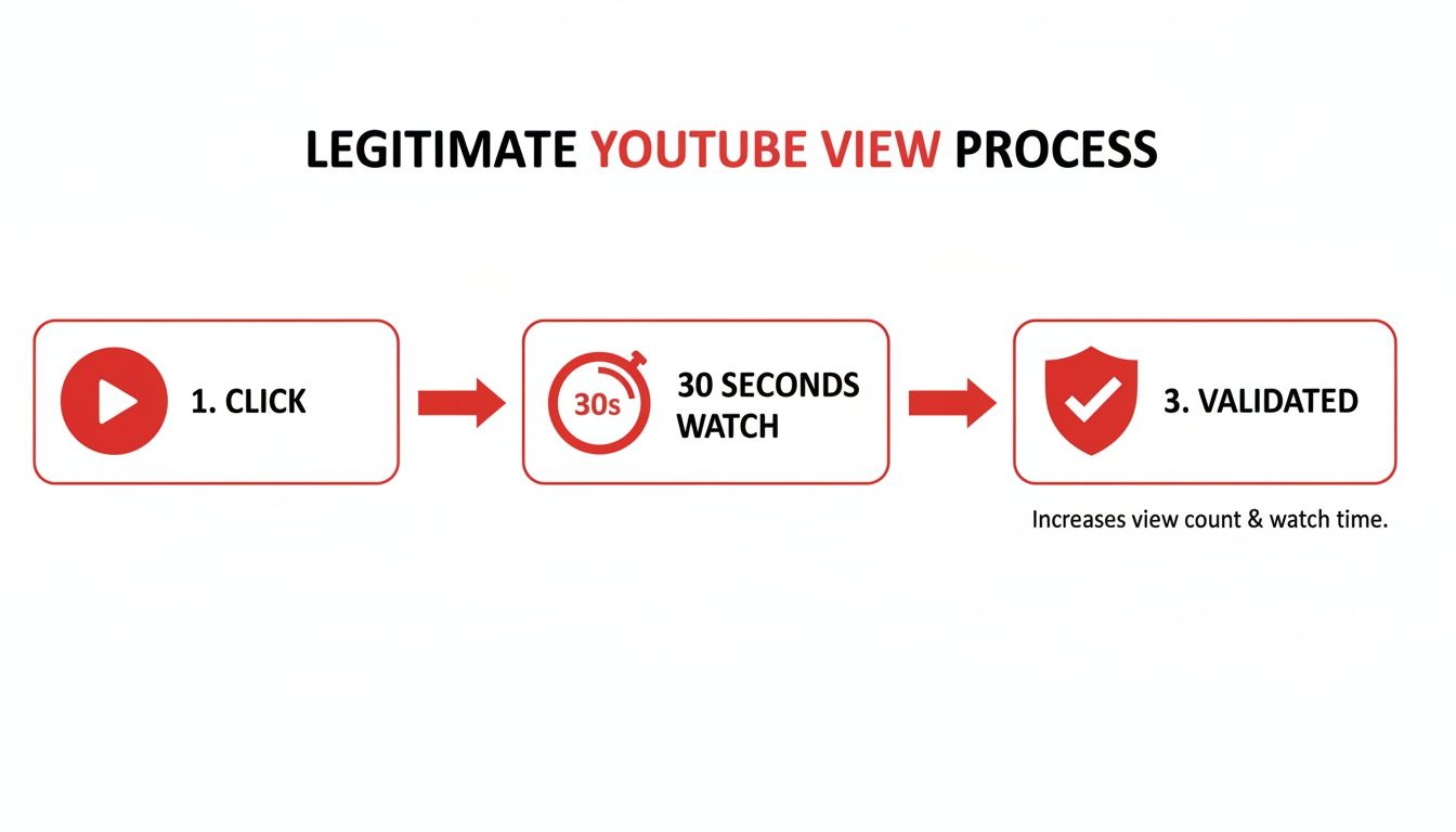 Flowchart illustrating the legitimate YouTube view process: click, 30 seconds watch, then validated.