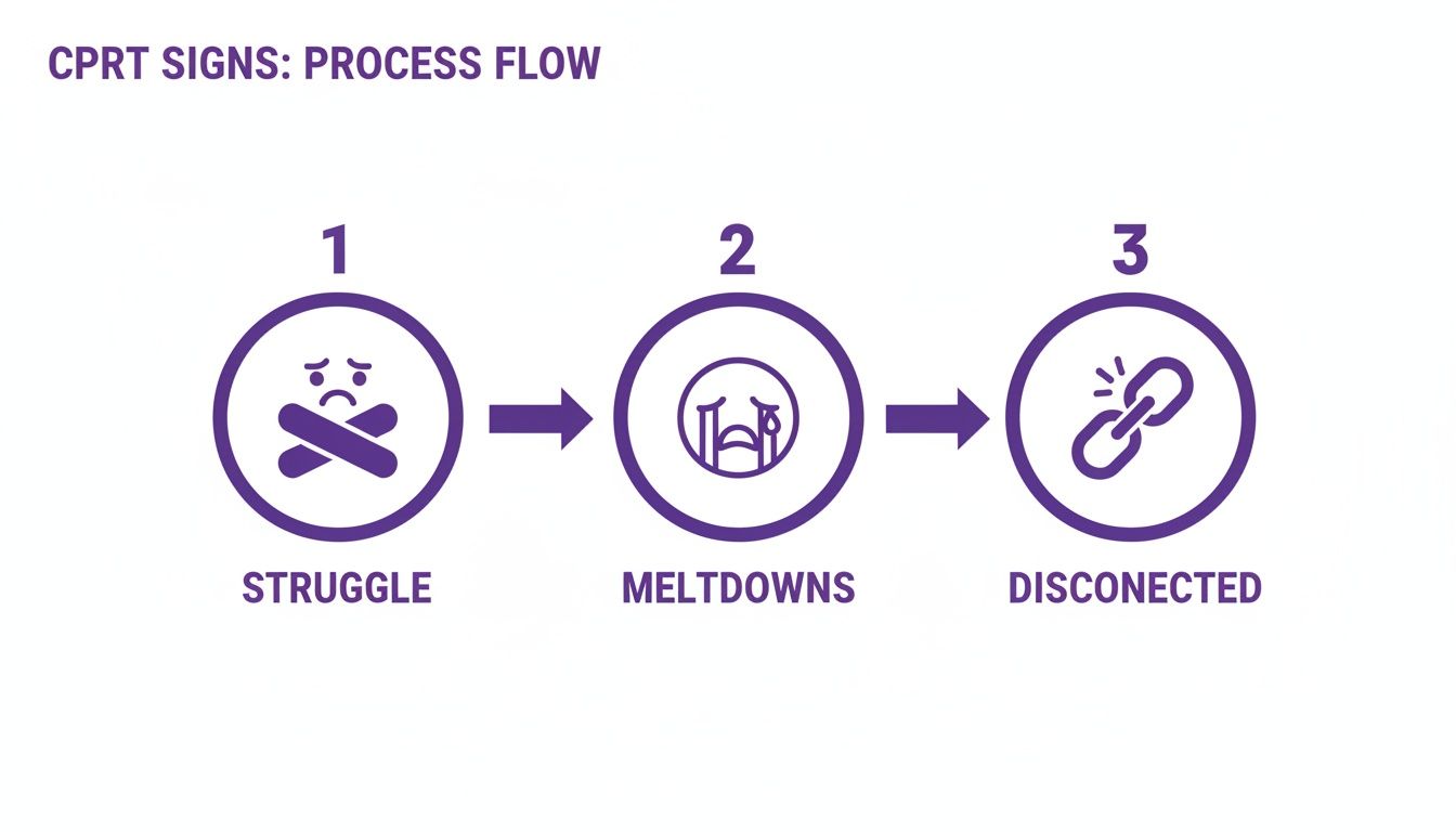A process flow diagram showing three CPTR signs: struggle, meltdowns, and feeling disconnected.