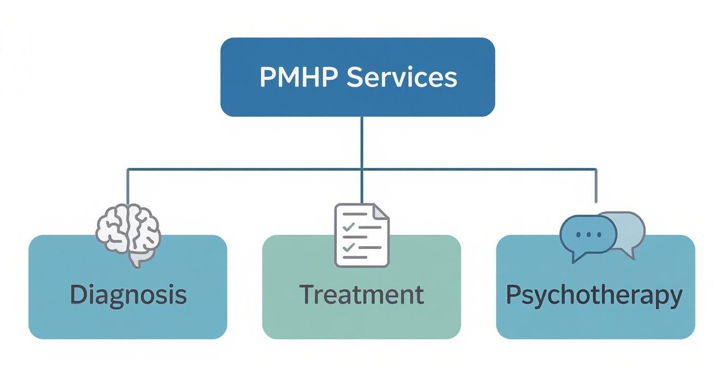 Diagram showing PMHP Services, including diagnosis, treatment, and psychotherapy, for mental health care.