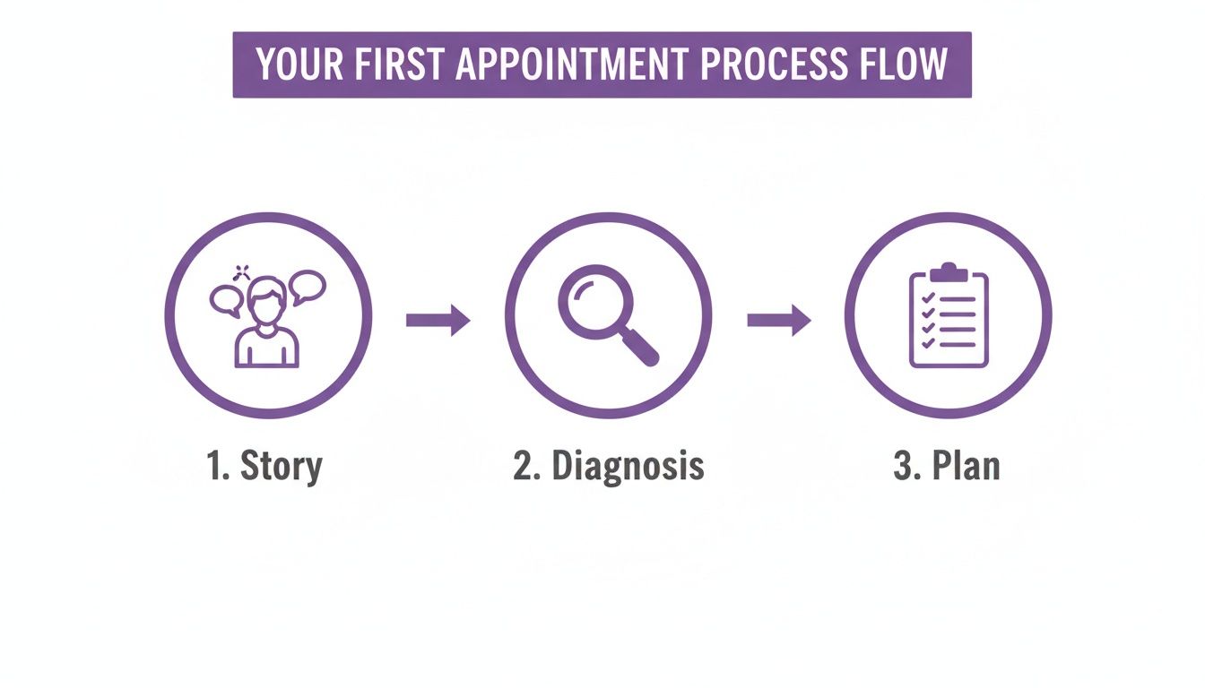 A three-step process flow for a first appointment: story, diagnosis, and plan, with corresponding icons.