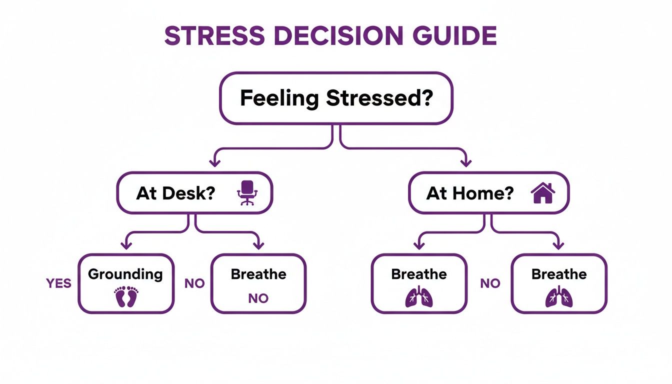 A stress decision guide flowchart showing steps for feeling stressed at a desk or at home.