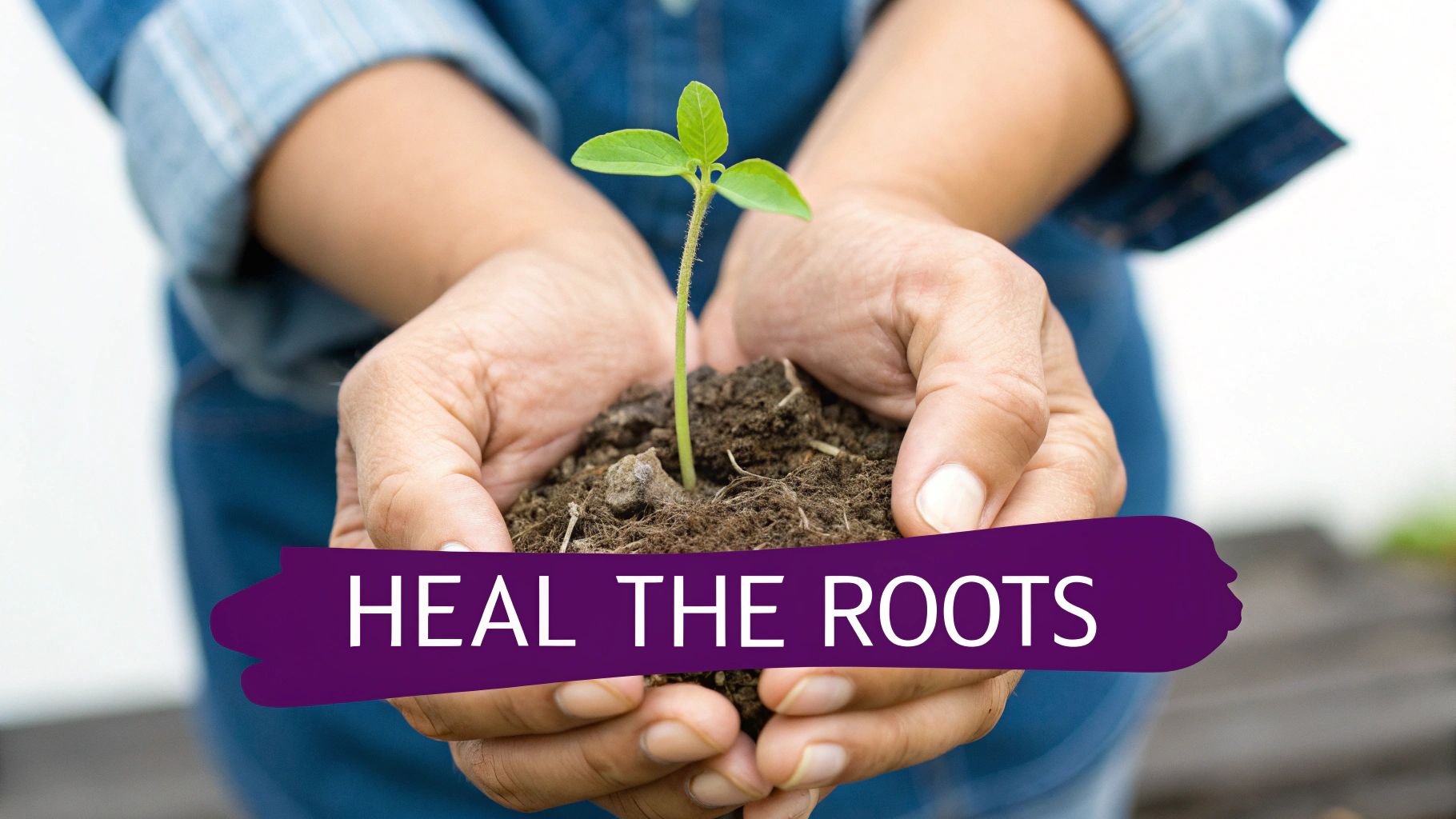 A person's hands gently hold a young green sprout growing from soil, with 'HEAL THE ROOTS' text.