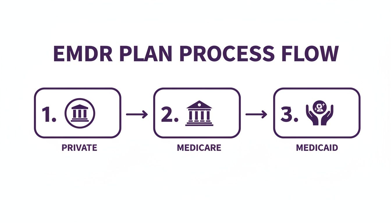 A flow chart illustrates the EMDR plan process, outlining private, Medicare, and Medicaid coverage options.