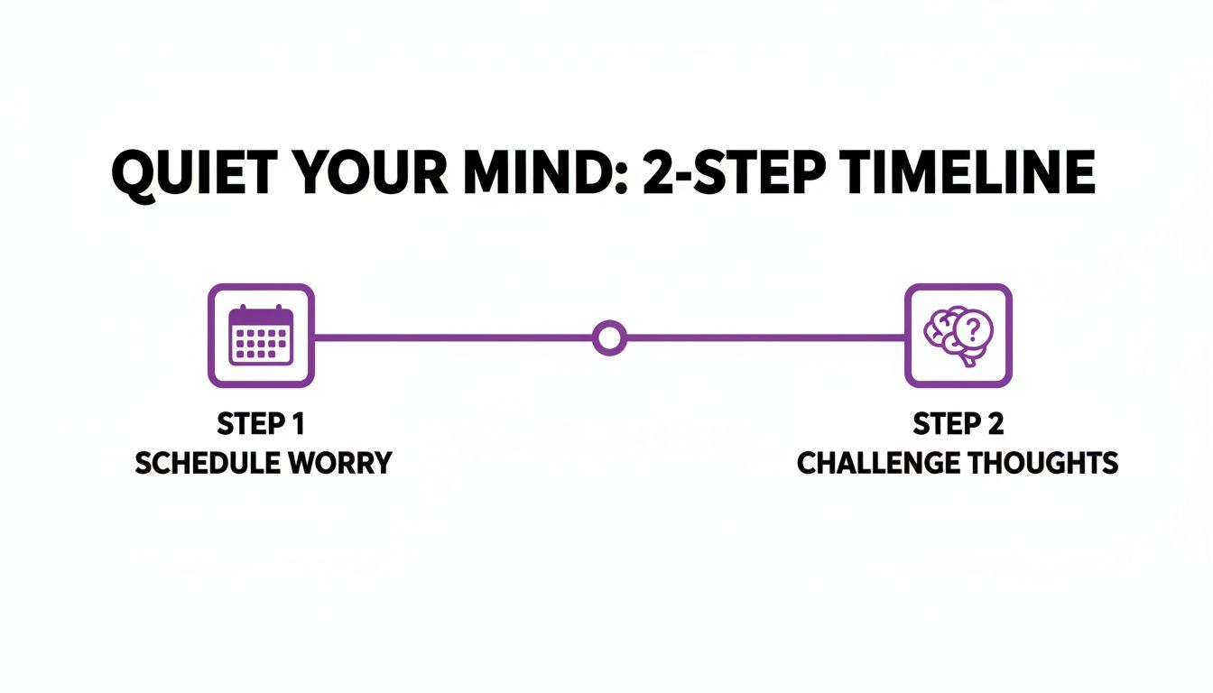 A 2-step timeline titled 'Quiet Your Mind' with steps: Schedule Worry and Challenge Thoughts.