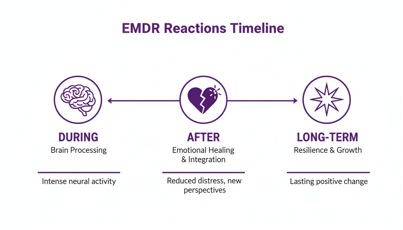 EMDR Reactions Timeline illustrating the stages: During (brain processing), After (emotional healing), and Long-term (resilience).