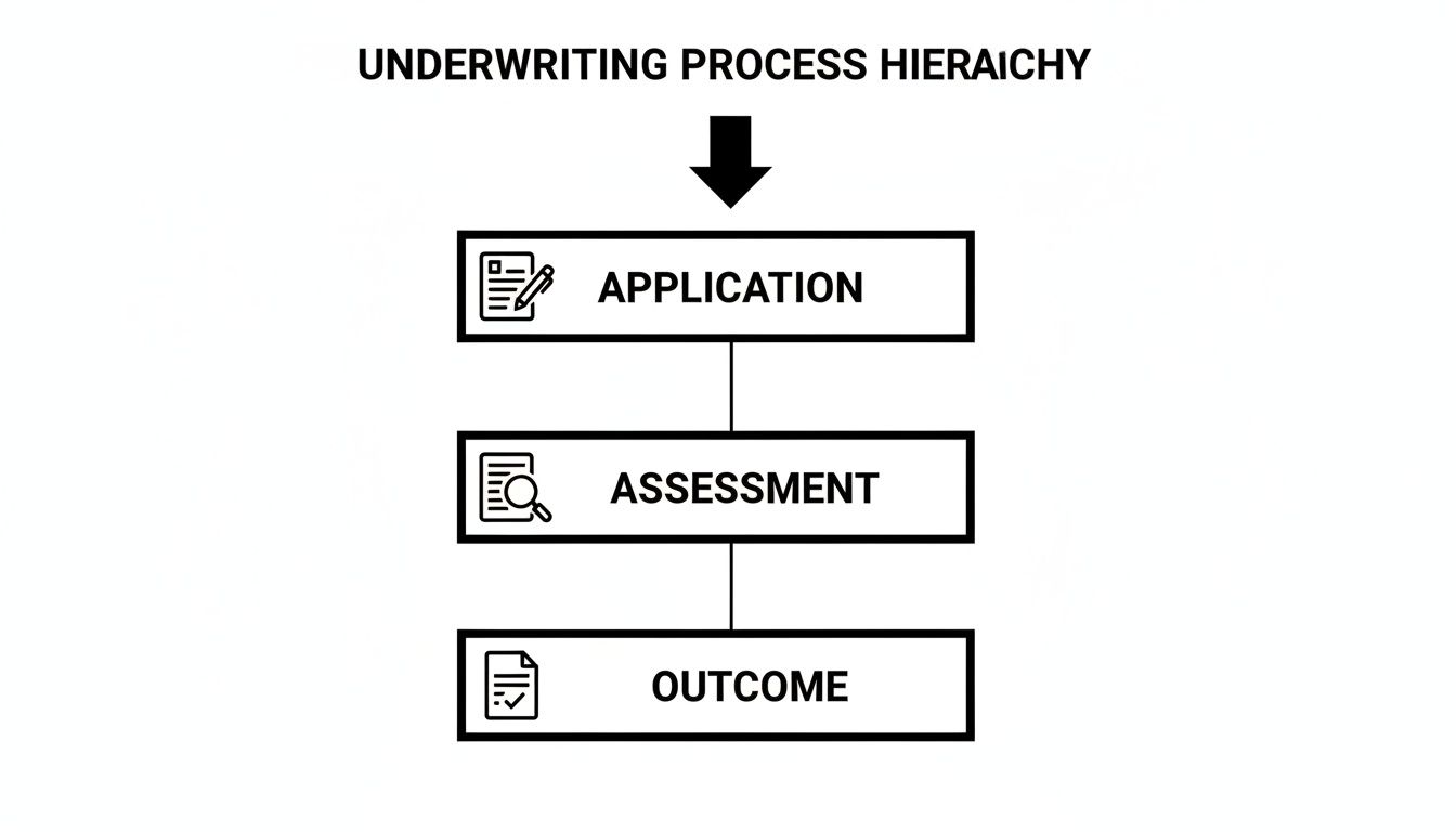 A black and white diagram illustrates the underwriting process hierarchy, showing Application, Assessment, and Outcome steps.