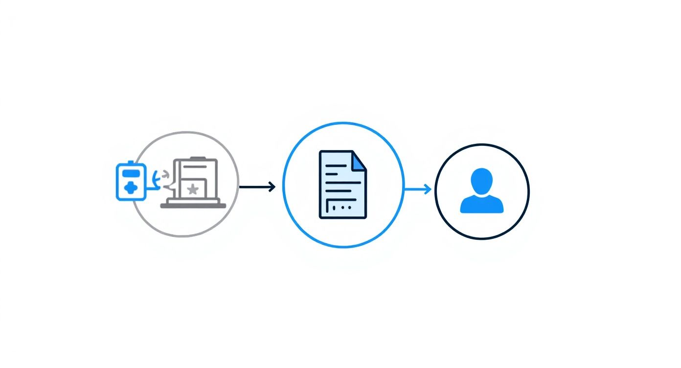 A process flow showing data from an institution, becoming a document, then reaching a user.