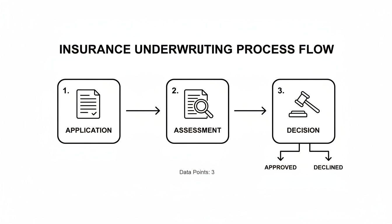 A flow chart illustrating the insurance underwriting process, from application through assessment to decision.