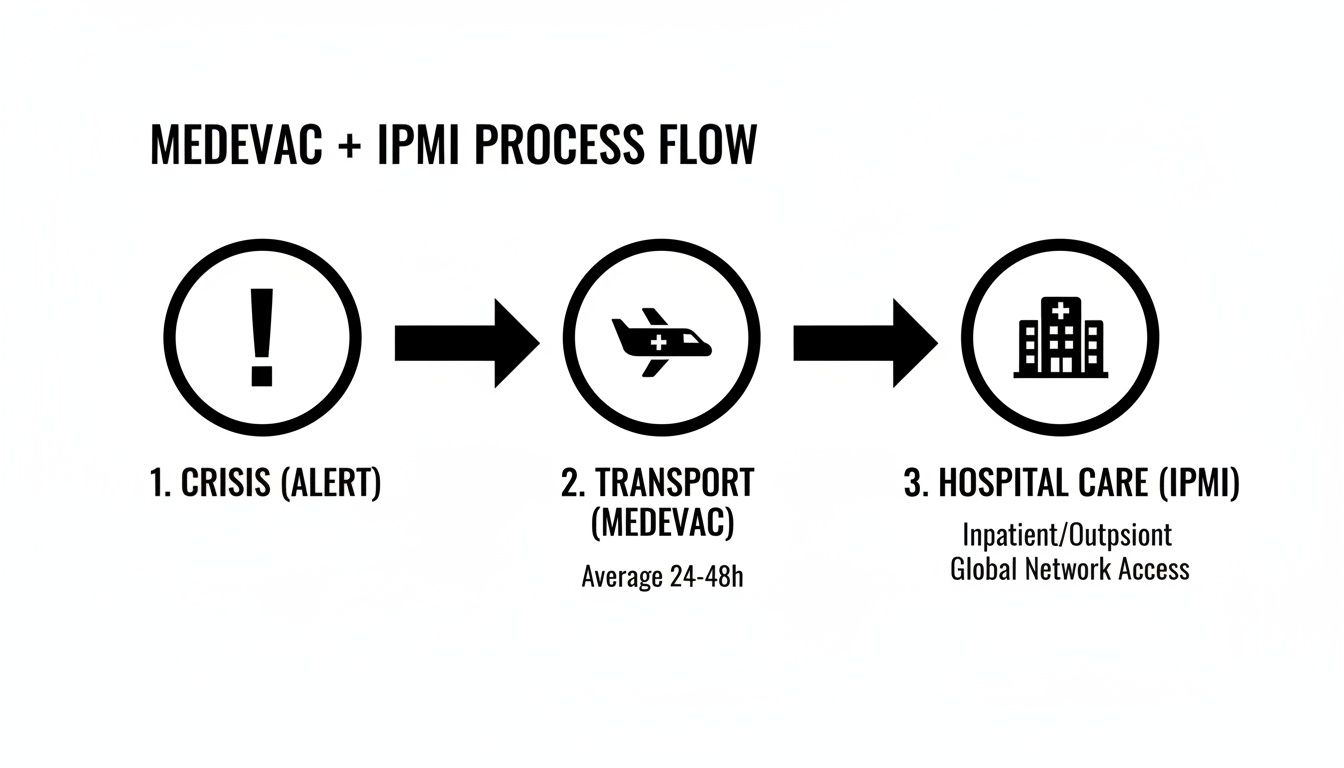 A process flow diagram illustrating MEDEVAC and IPMI steps: Crisis, Transport (24-48h), and Hospital Care.