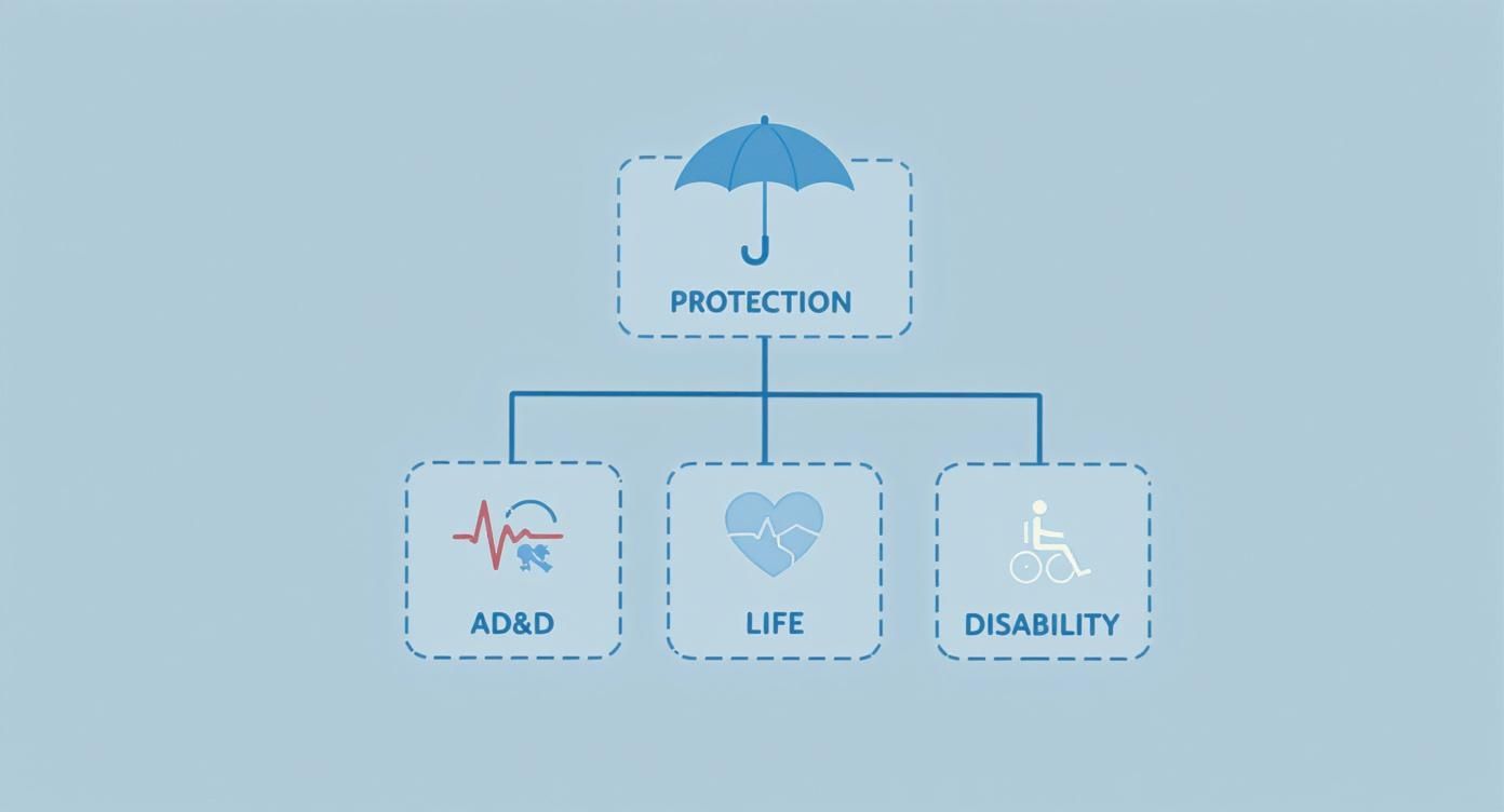 A diagram illustrates 'Protection' under an umbrella, branching to 'AD&D', 'Life', and 'Disability' insurance.