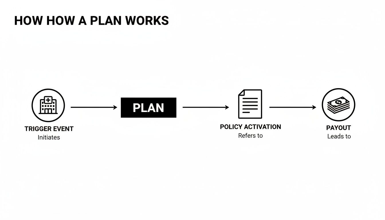 A diagram illustrating the workflow of a plan from a trigger event (hospital) to payout.
