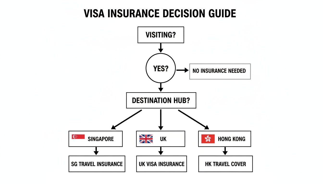 Visa insurance decision guide flowchart showing options for Singapore, UK, and Hong Kong travel.