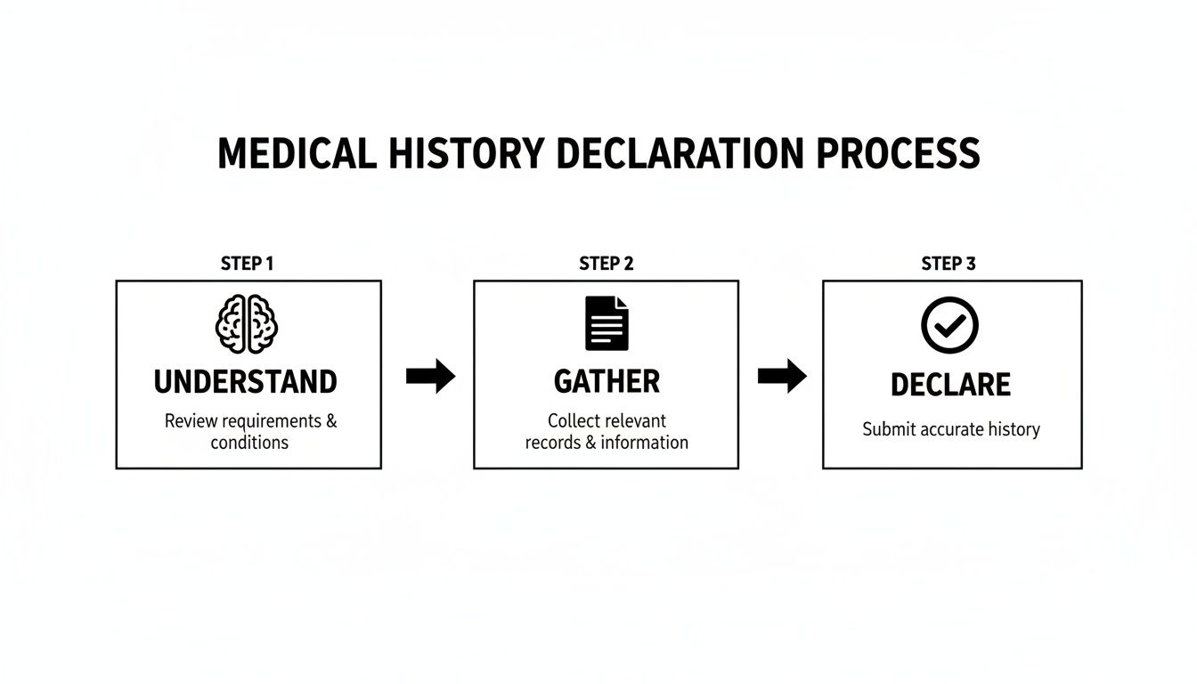 Medical history declaration process: Understand, Gather, and Declare steps with icons and descriptions.