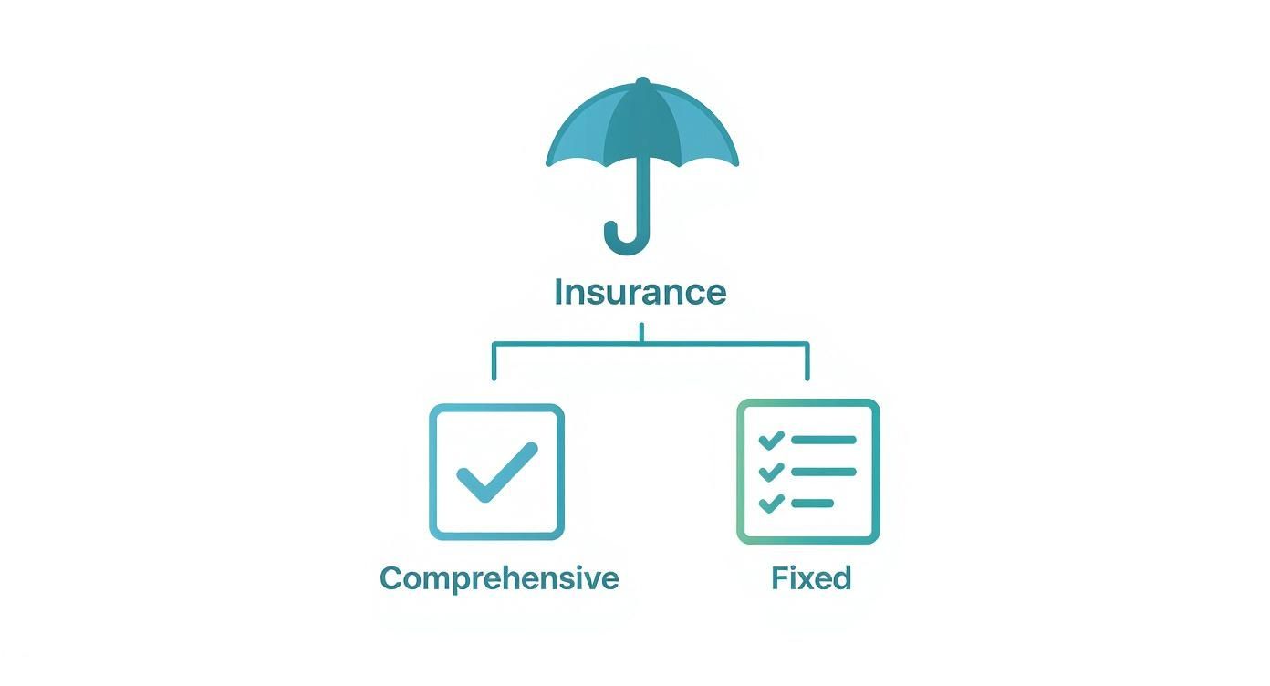 Infographic about visitor insurance for parents