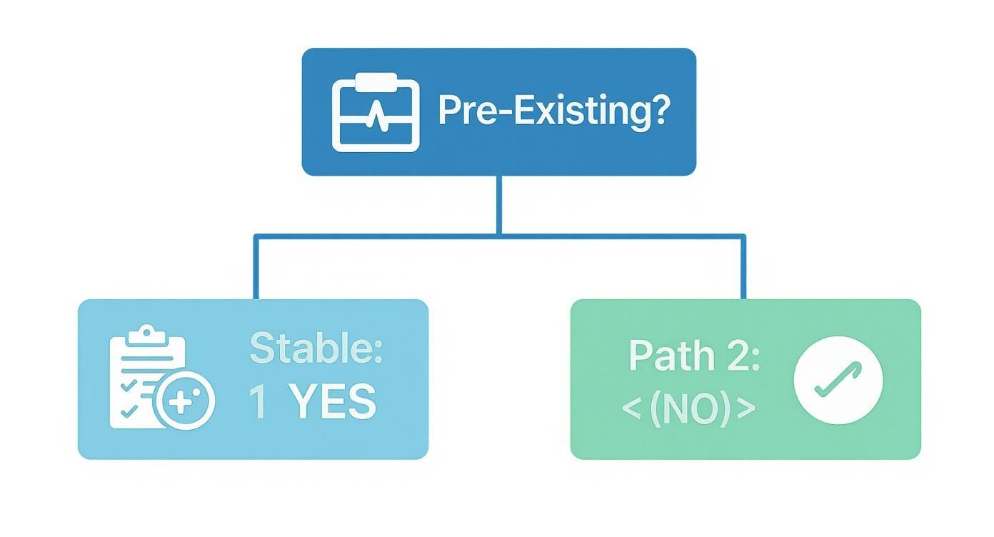 A decision tree diagram asking about 'Pre-Existing?' conditions, branching to 'Stable: 1 YES' or 'Path 2: (NO)'.