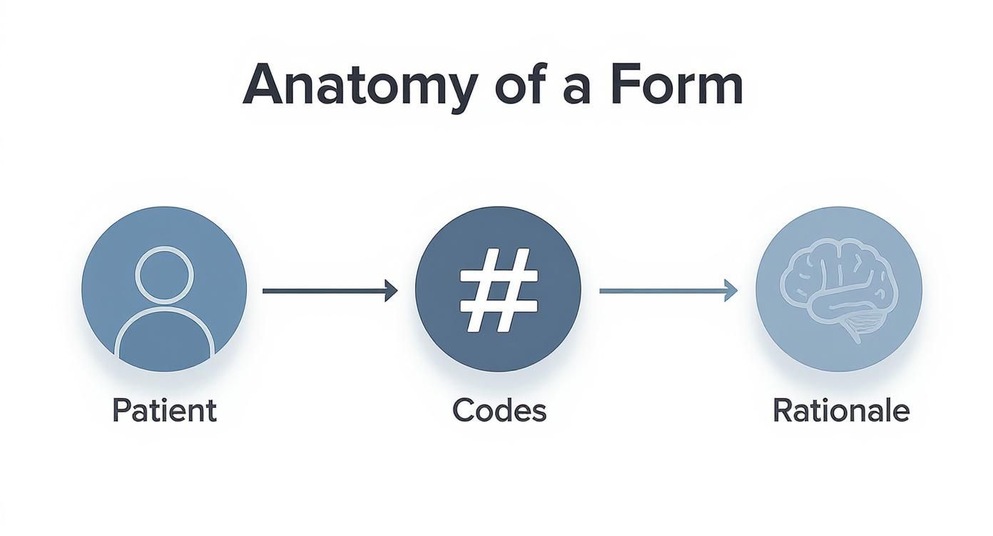 Diagram showing three connected circles illustrating patient information, medical codes, and clinical rationale workflow