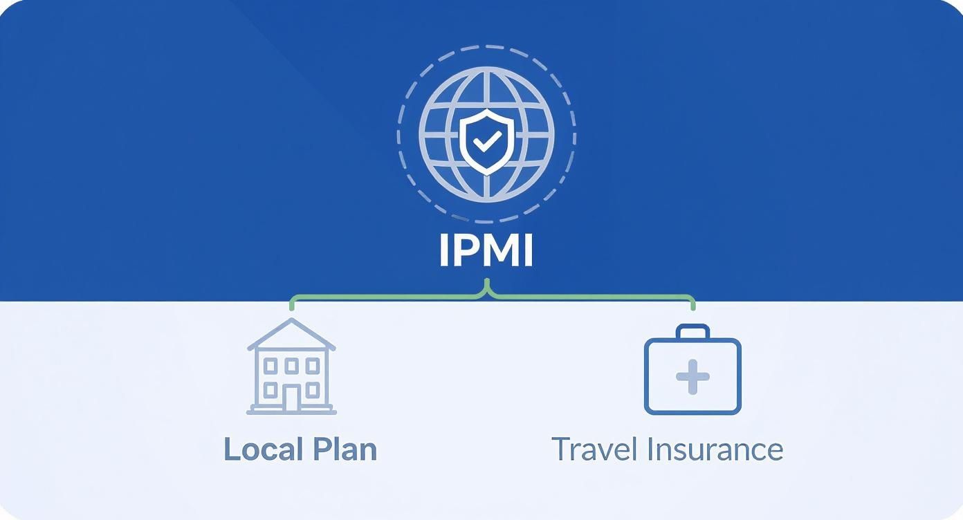 Infographic about international medical insurance for expats