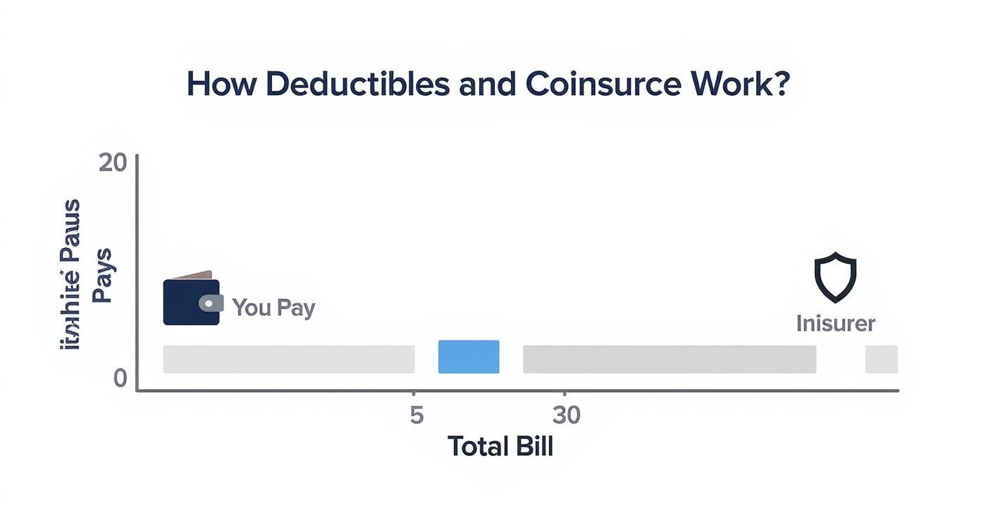 Infographic about what is 0 coinsurance