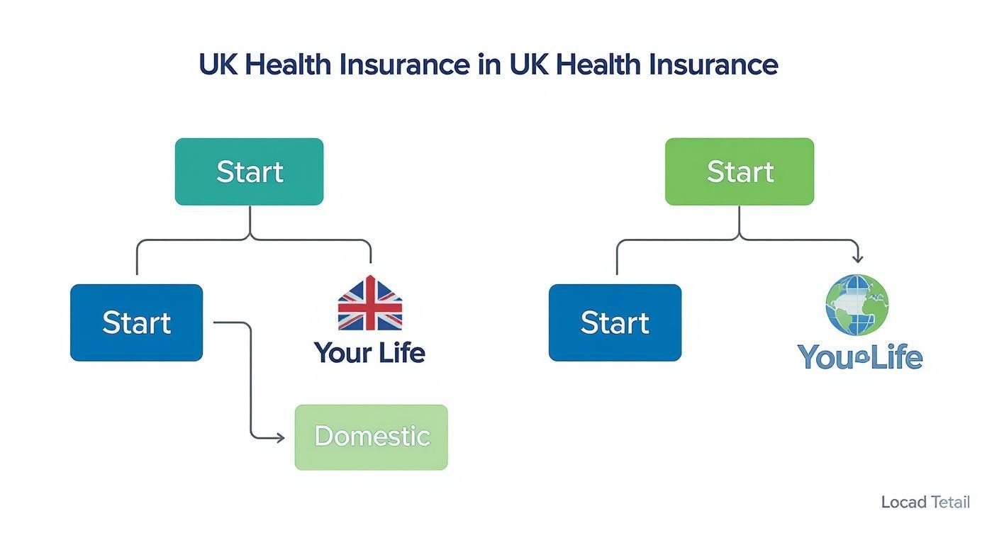 UK health insurance decision flowchart showing Your Life and Domestic coverage options branching from start