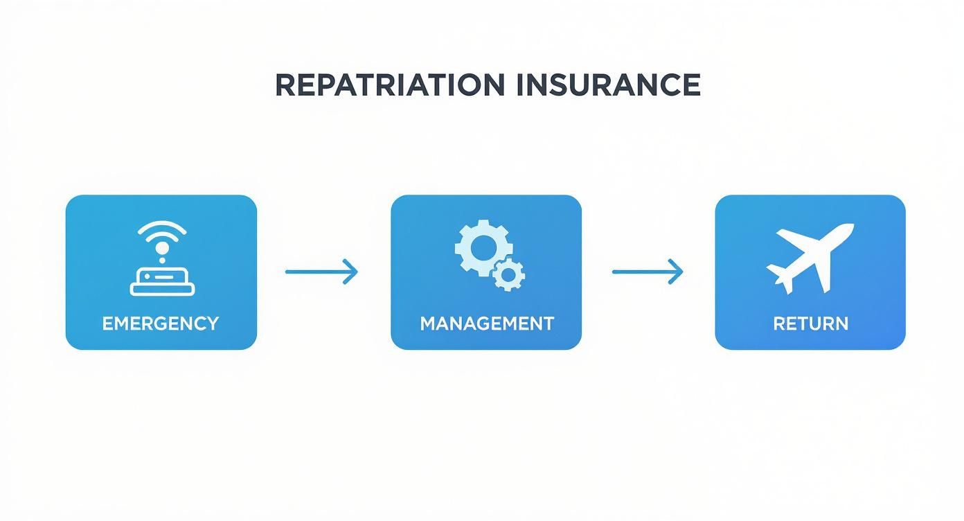 Infographic about what is repatriation insurance coverage