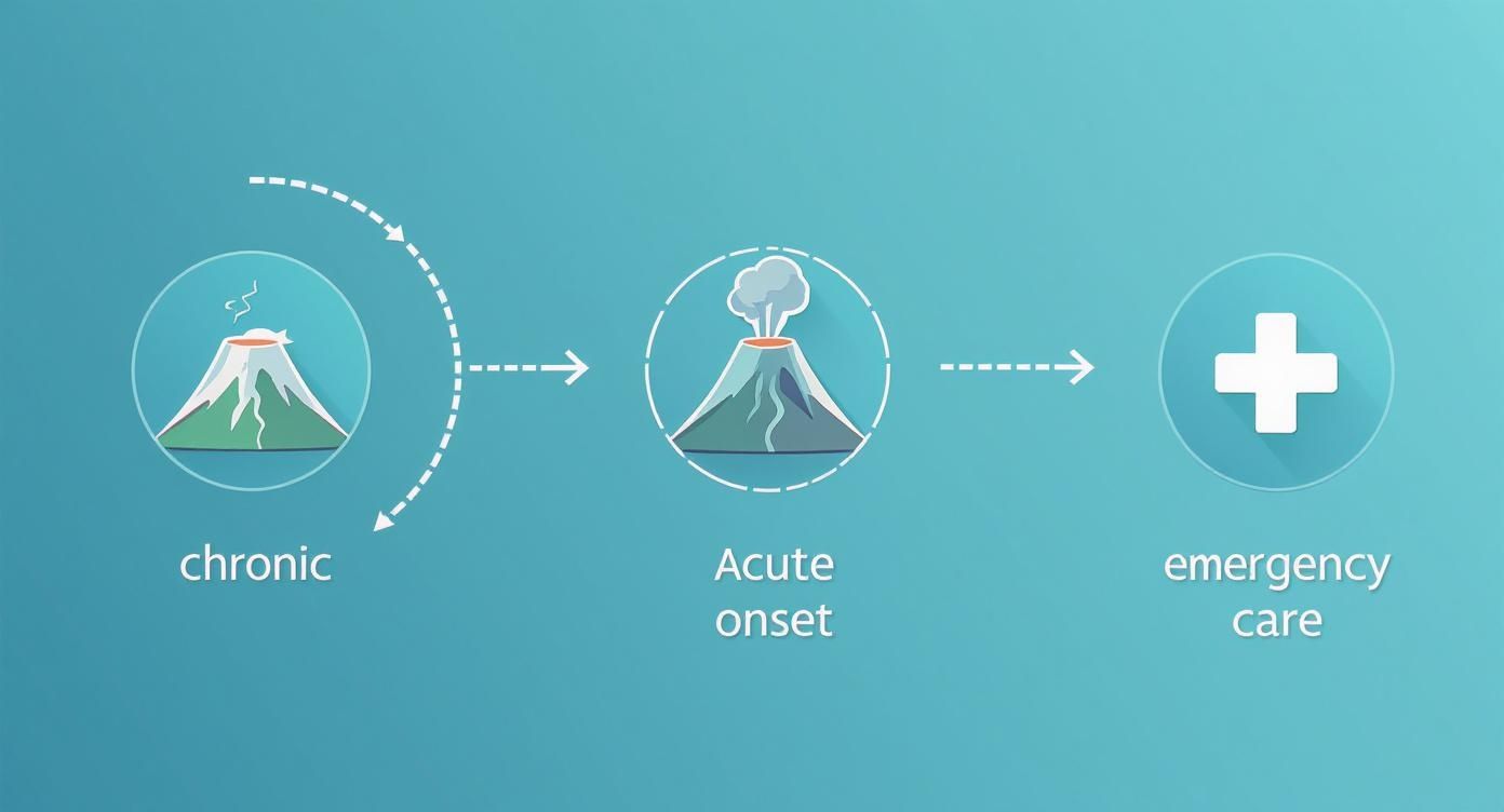 Diagram illustrating a chronic condition progressing to acute onset, then emergency care, using volcano eruptions as a metaphor.