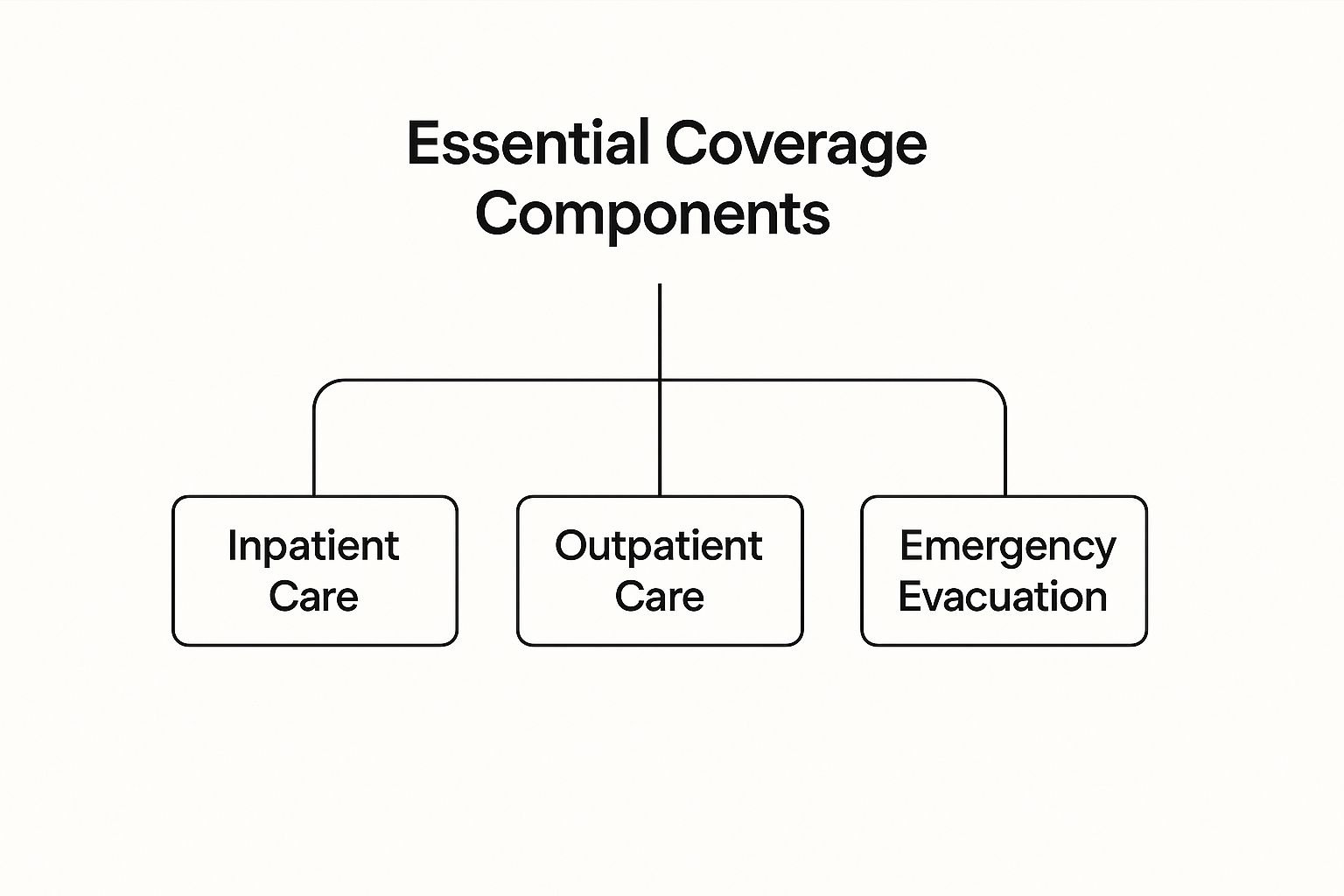 Infographic about international health insurance for us citizens