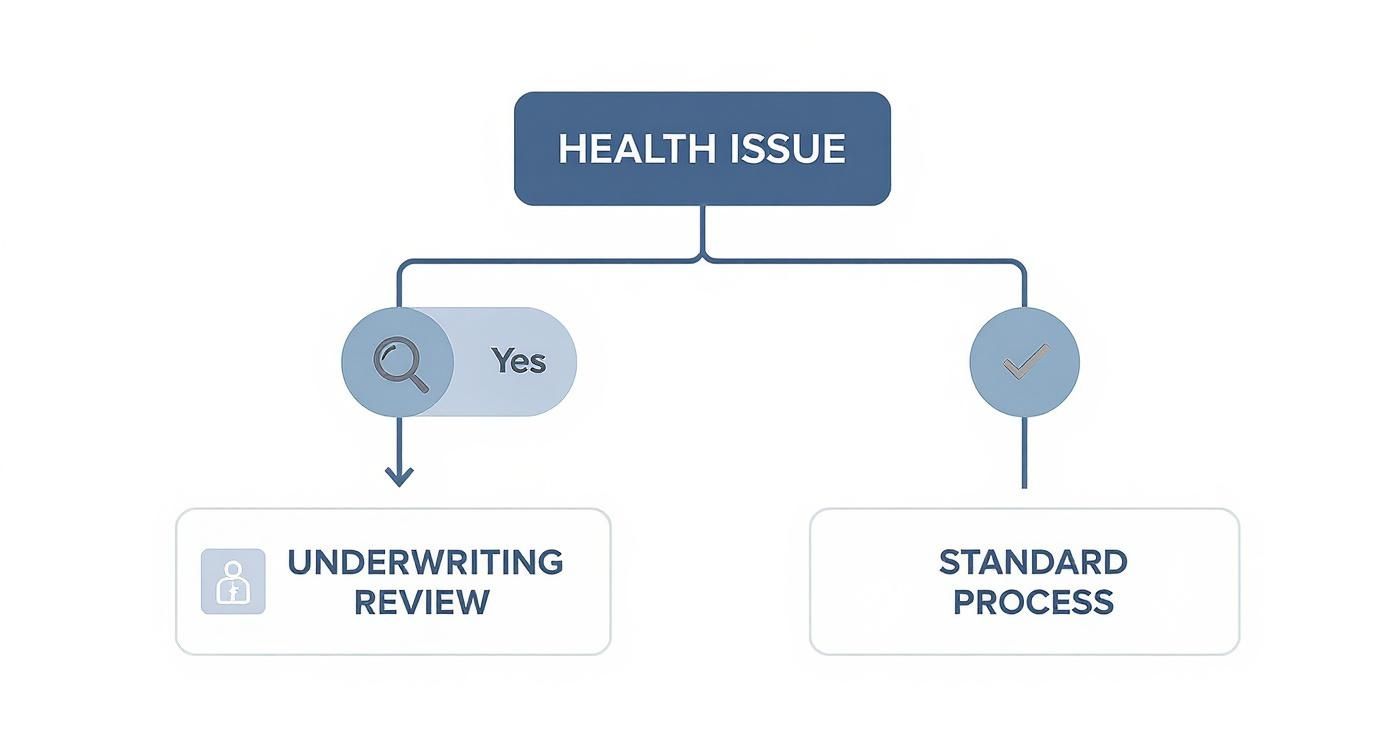 Flowchart illustrating health issue assessment leading to underwriting review or standard process.