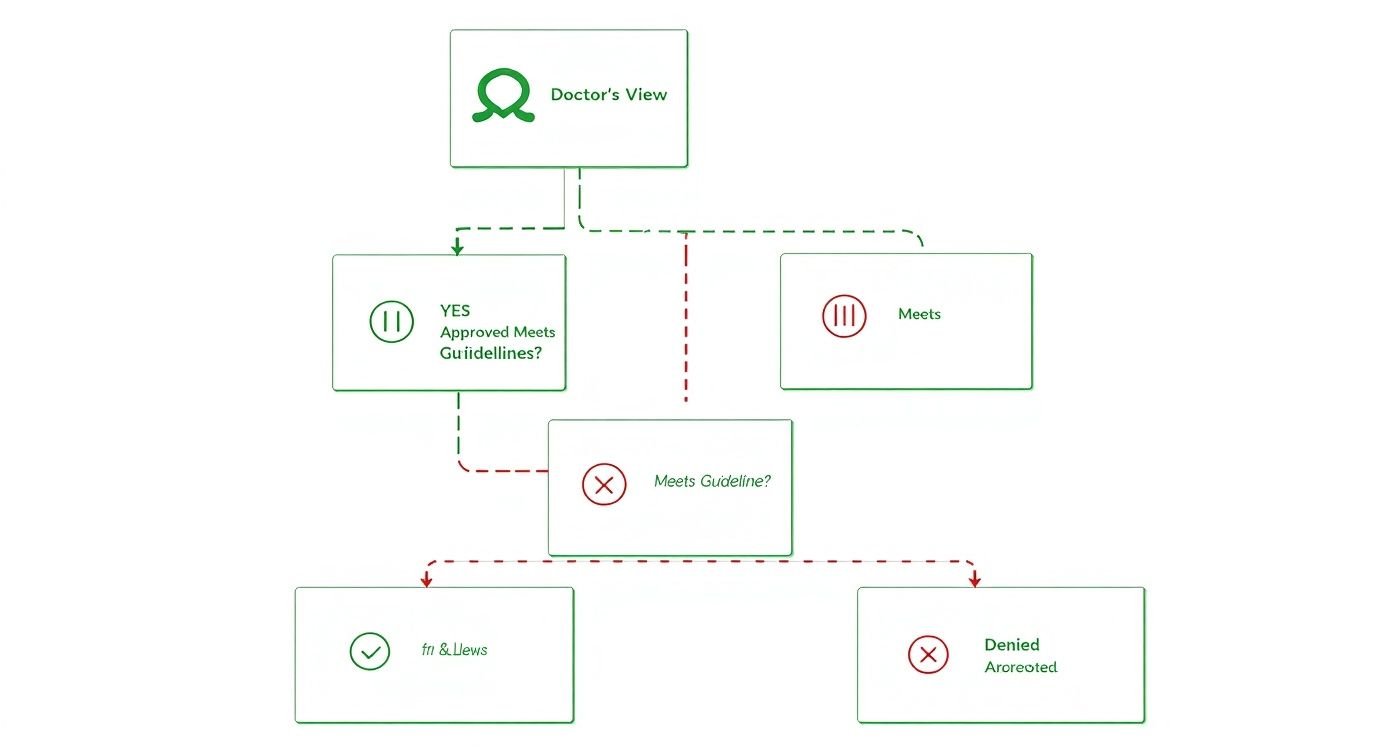 Medical necessity flowchart showing doctor's review process with approval and denial pathways for treatment authorization