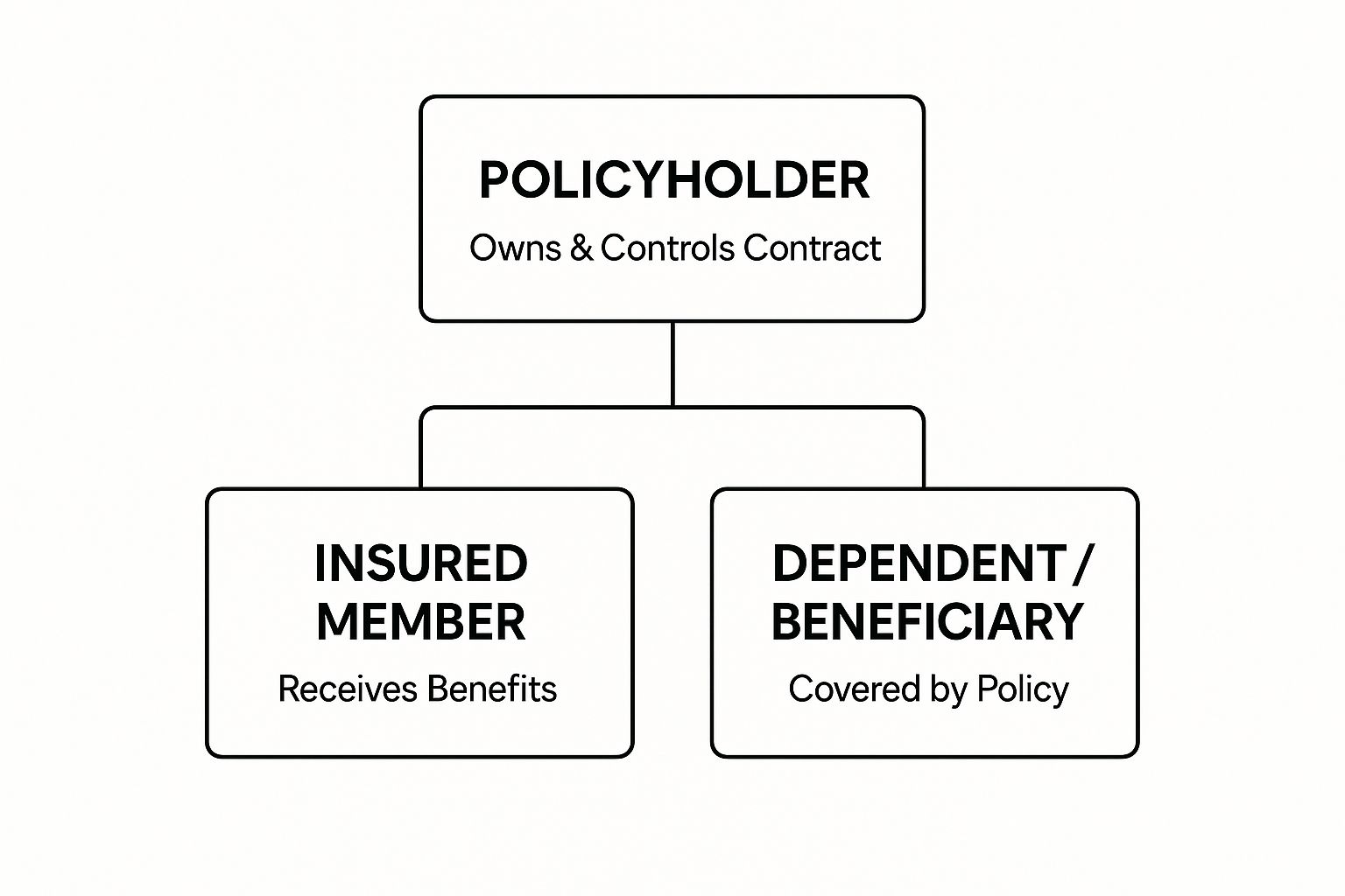 Infographic about who is the policyholder for health insurance