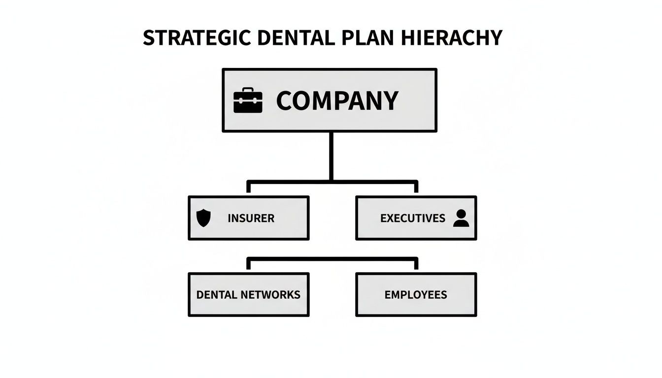 Diagram showing a strategic dental plan hierarchy with Company, Insurer, Executives, Dental Networks, and Employees.