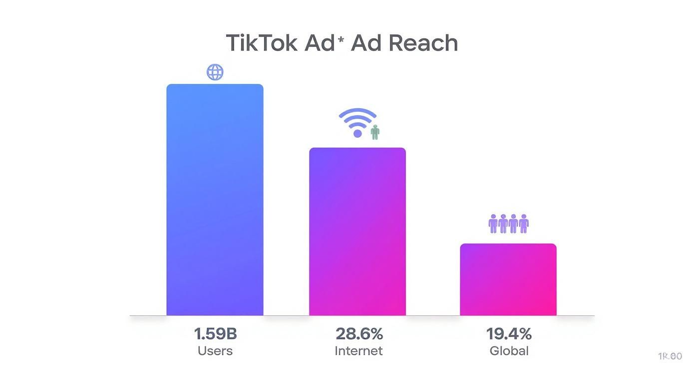 Infographic data chart showing TikTok's ad reach, including 1.59B Users, 28.6% of Internet users, and 19.4% of the Global population.