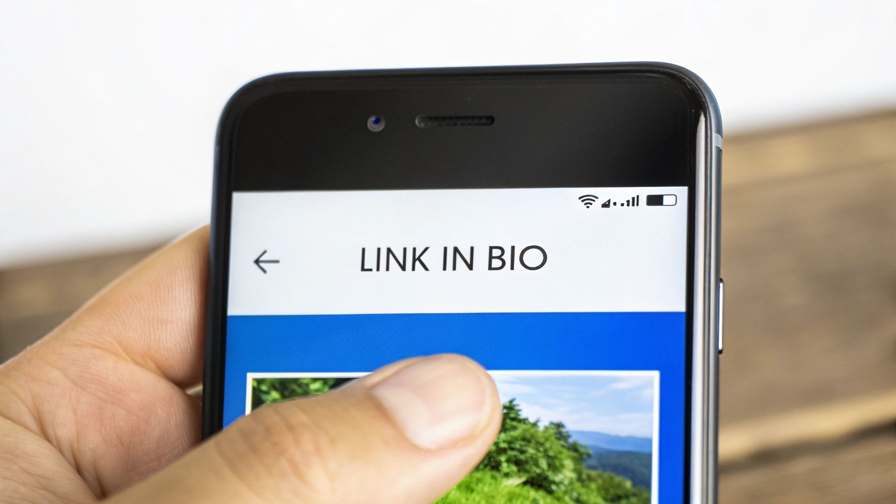 Close-up of a hand holding a smartphone displaying 'LINK IN BIO' on the screen.