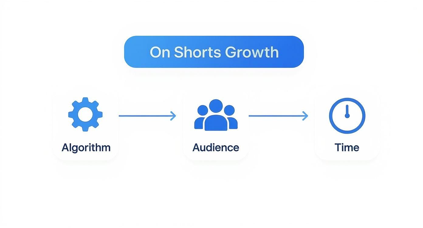 Infographic about how to make a youtube video a short