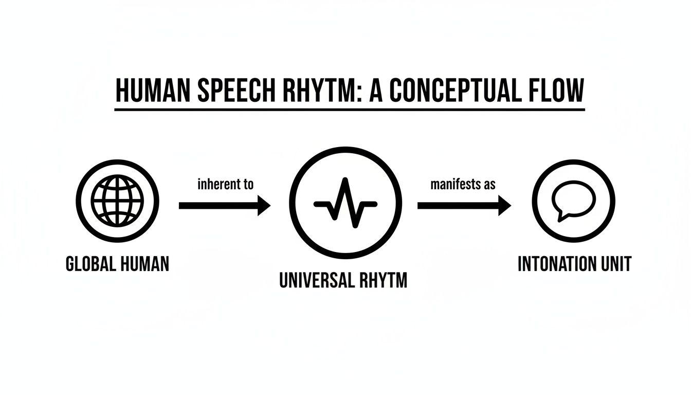 Diagram illustrating the conceptual flow of human speech rhythm from global human to intonation units.