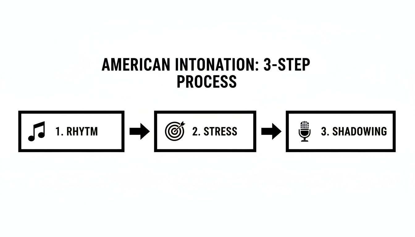 Diagram illustrating the 3-step process for American intonation: Rhythm, Stress, and Shadowing.