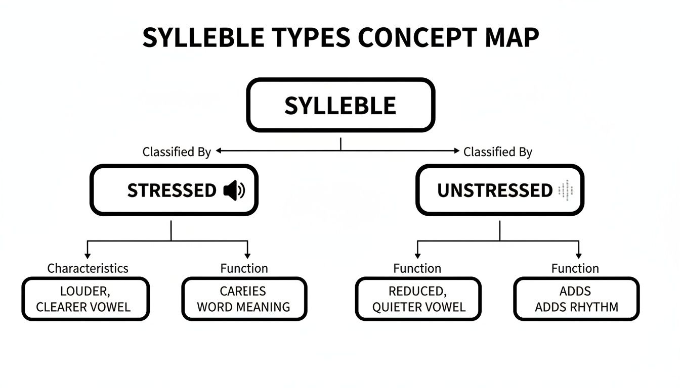 Concept map illustrating syllable types: stressed and unstressed, detailing their characteristics and functions.