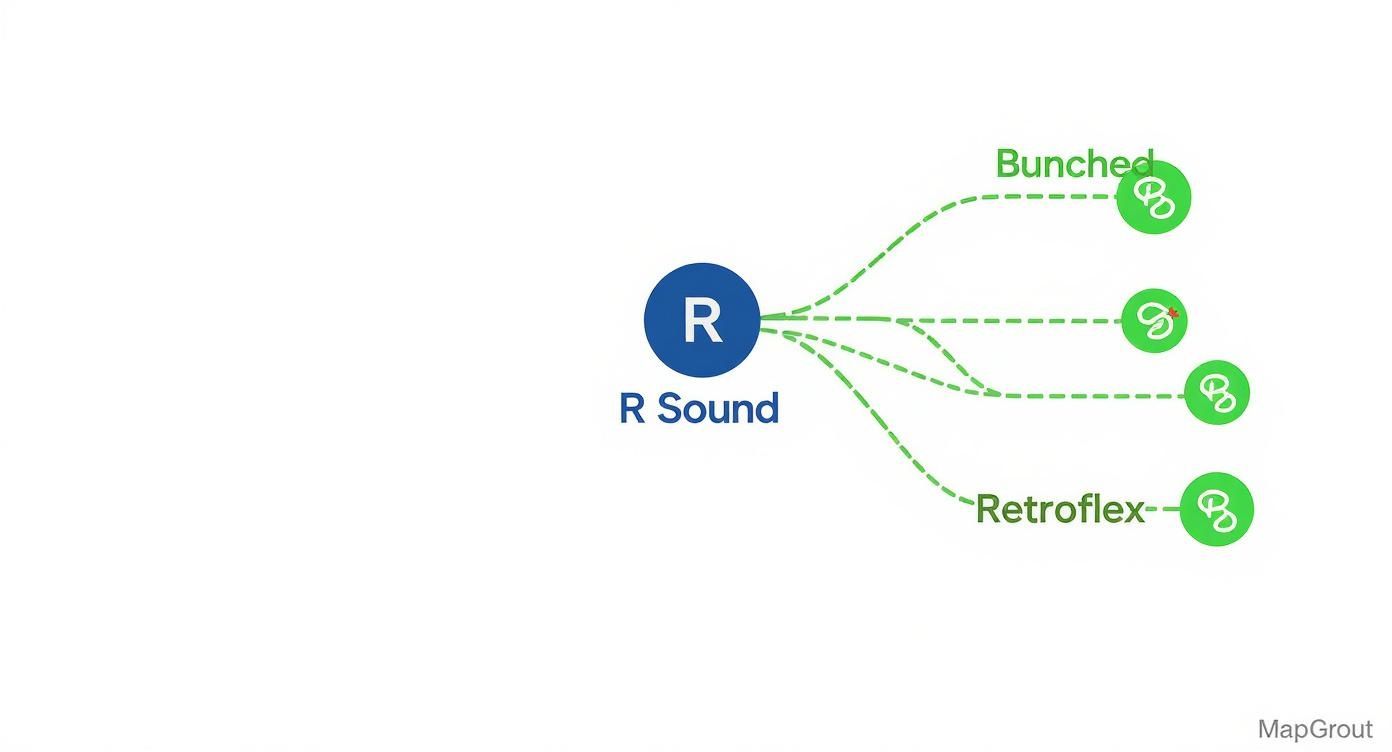 Diagram showing 'R' sound articulation, illustrating Bunched and Retroflex tongue positions.