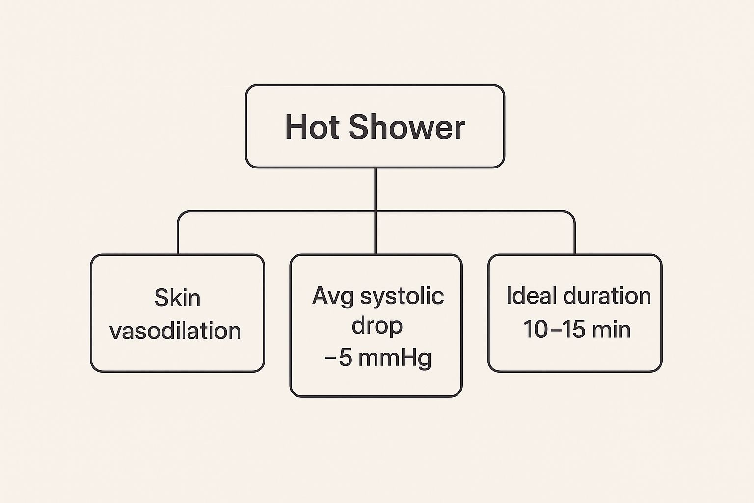 An illustration showing how a warm shower can cause vasodilation, leading to a temporary drop in blood pressure.