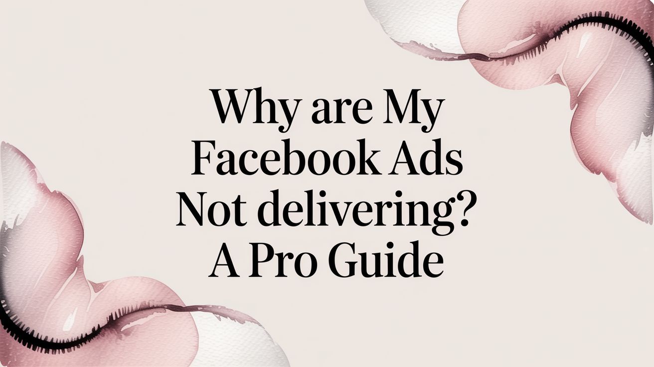 Why Are My Facebook Ads Not Delivering? A Pro Guide | AdStellar