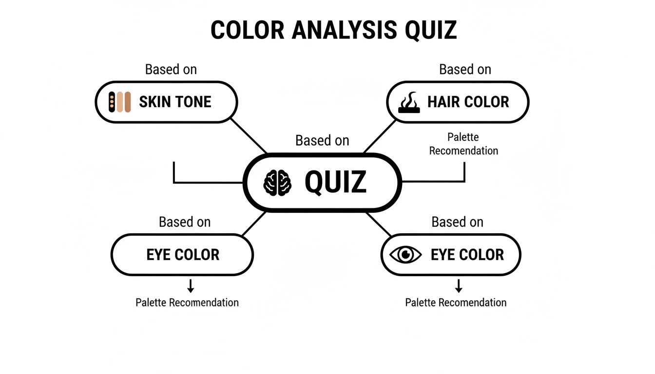 A mind map showing a color analysis quiz based on skin tone, hair color, and eye color, leading to palette recommendations.