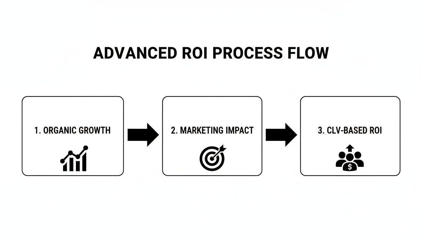 A diagram illustrating the Advanced ROI Process Flow, including Organic Growth, Marketing Impact, and CLV-based ROI.