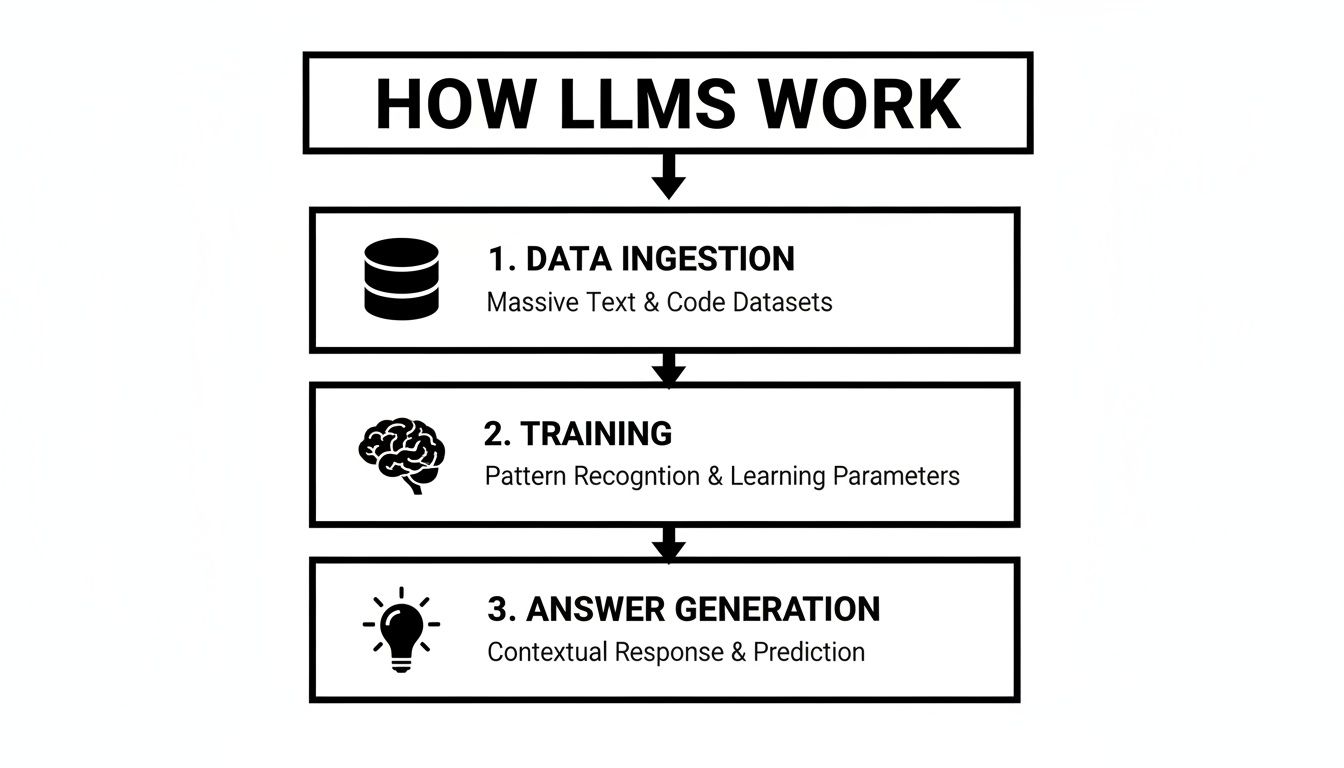 A flowchart titled 'HOW LLMS WORK' detailing three steps: Data Ingestion, Training, and Answer Generation.