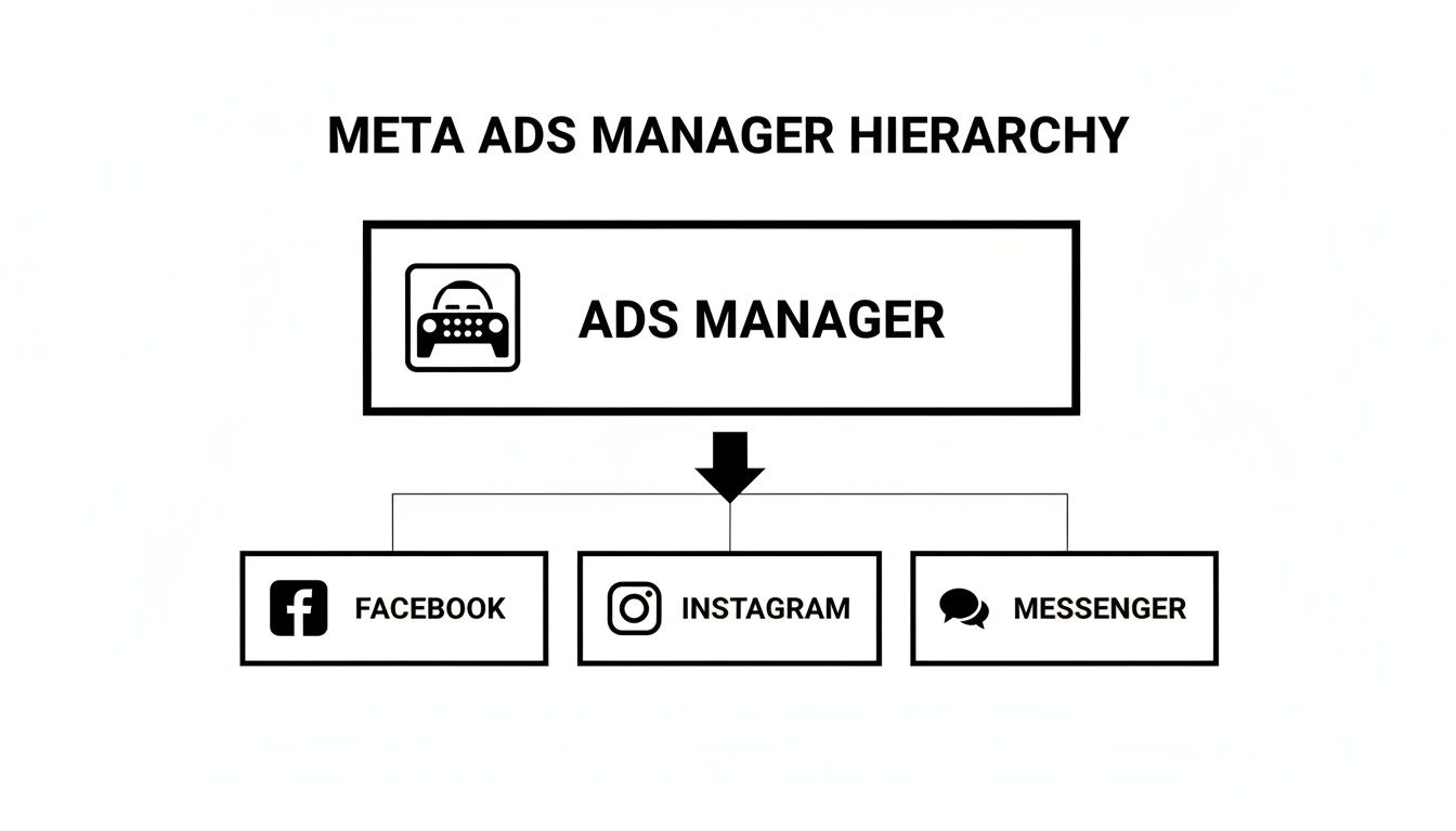 Meta Ads Manager hierarchy diagram showing its integration with Facebook, Instagram, and Messenger platforms.