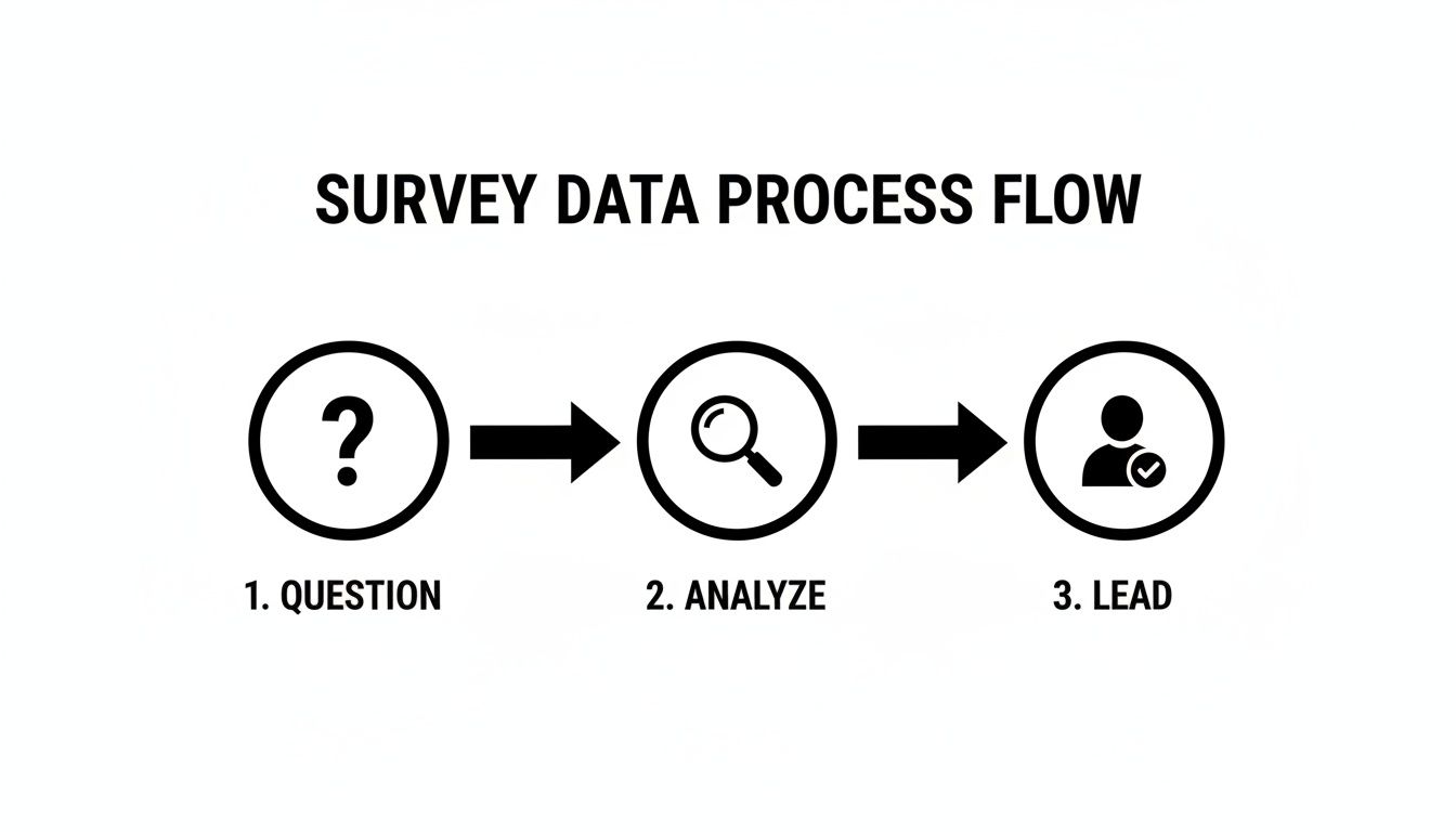A survey data process flow diagram showing three steps: Question, Analyze, and Lead.