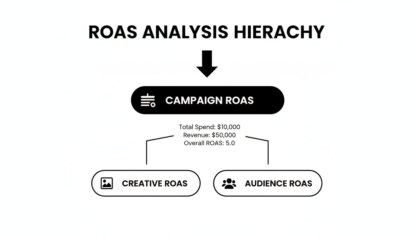 Diagram illustrating ROAS analysis hierarchy, from campaign ROAS to creative and audience ROAS.