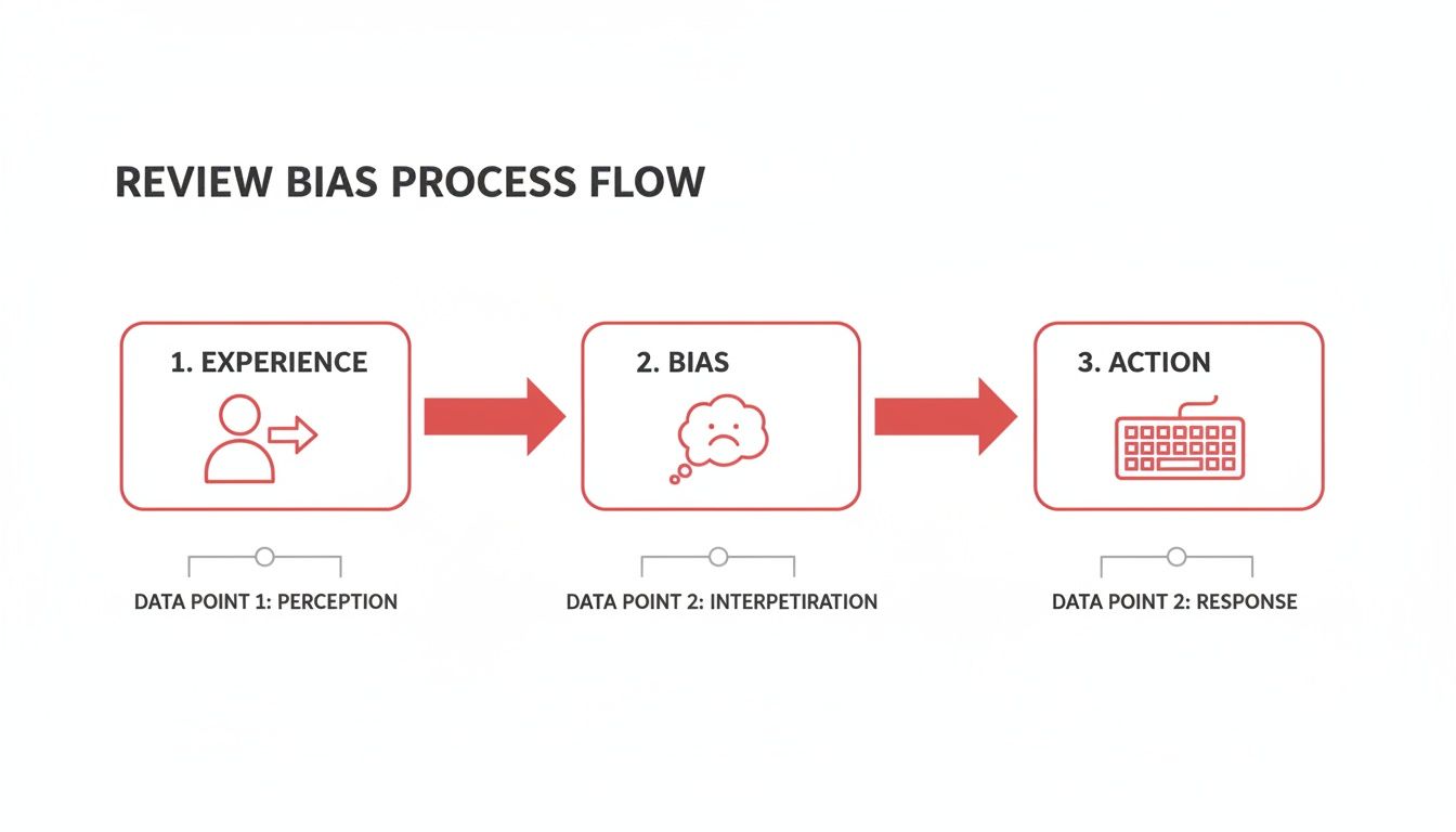 Flowchart showing the review bias process: Experience (Perception) leads to Bias (Interpretation), which leads to Action (Response).